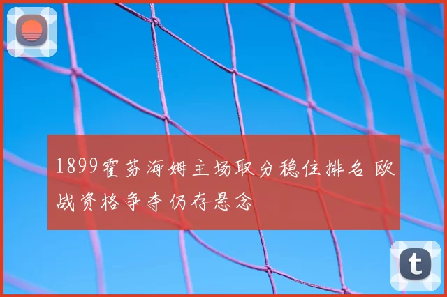 1899霍芬海姆主场取分稳住排名 欧战资格争夺仍存悬念