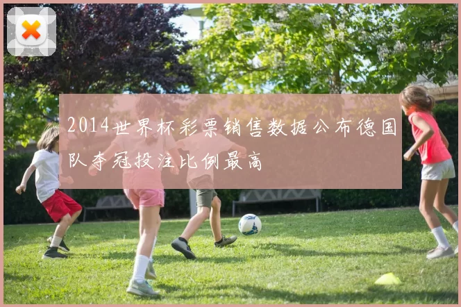 2014世界杯彩票销售数据公布德国队夺冠投注比例最高