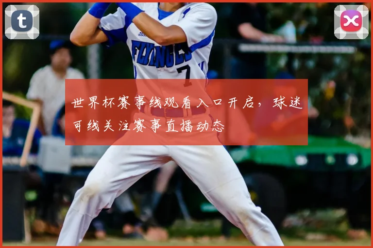 世界杯赛事线观看入口开启,球迷可线关注赛事直播动态
