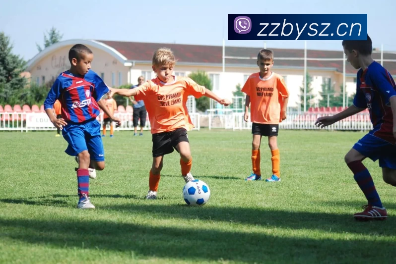 kaiyun「中国大陆」云开·门户网站 - 官方网站|登录入口APP 封面图